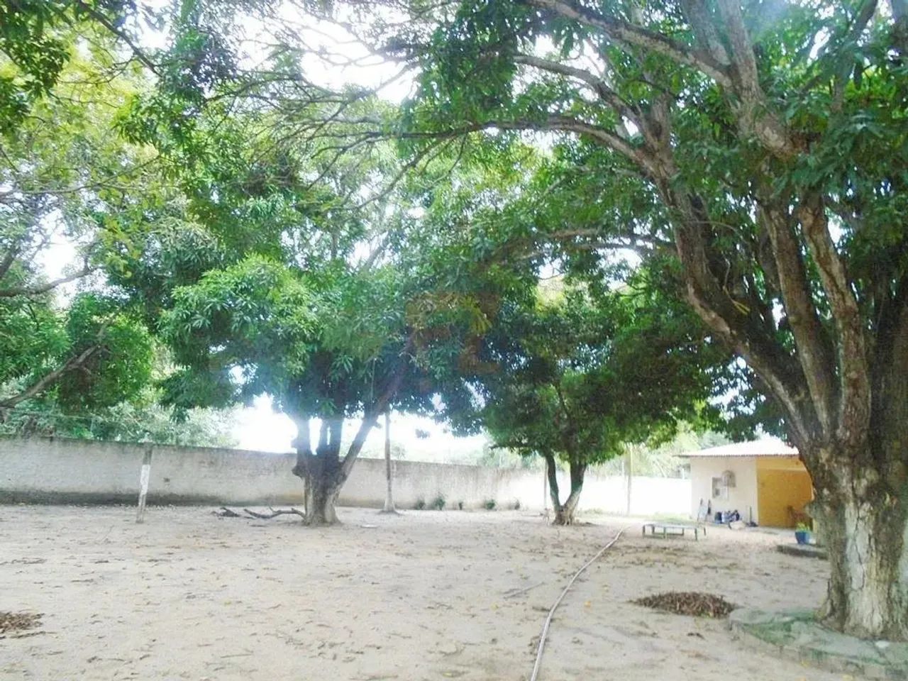 Locação de Terreno / Padrão na cidade de EUSÉBIO - Foto 2