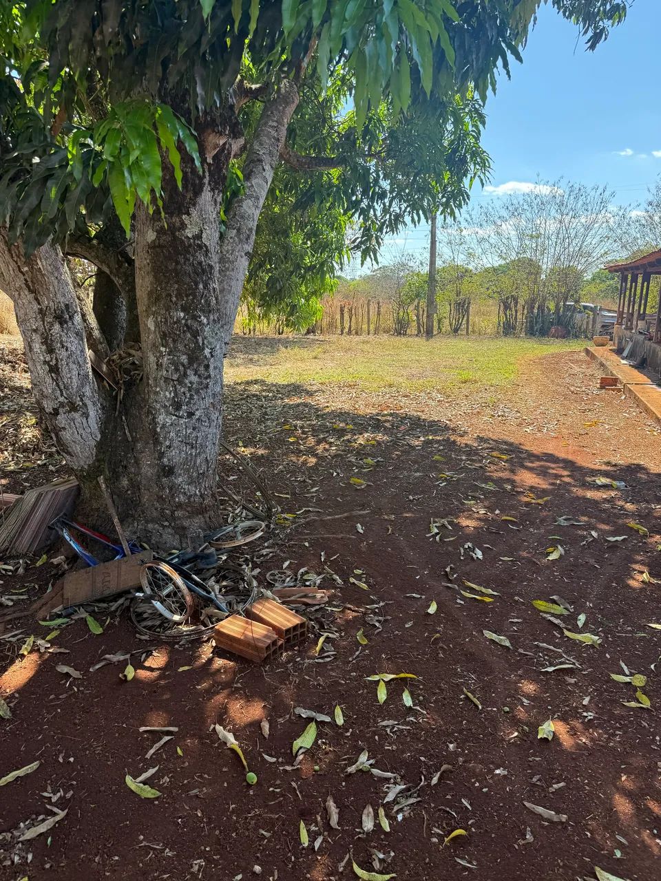 Chácara São Domingos Goianira  - Foto 4