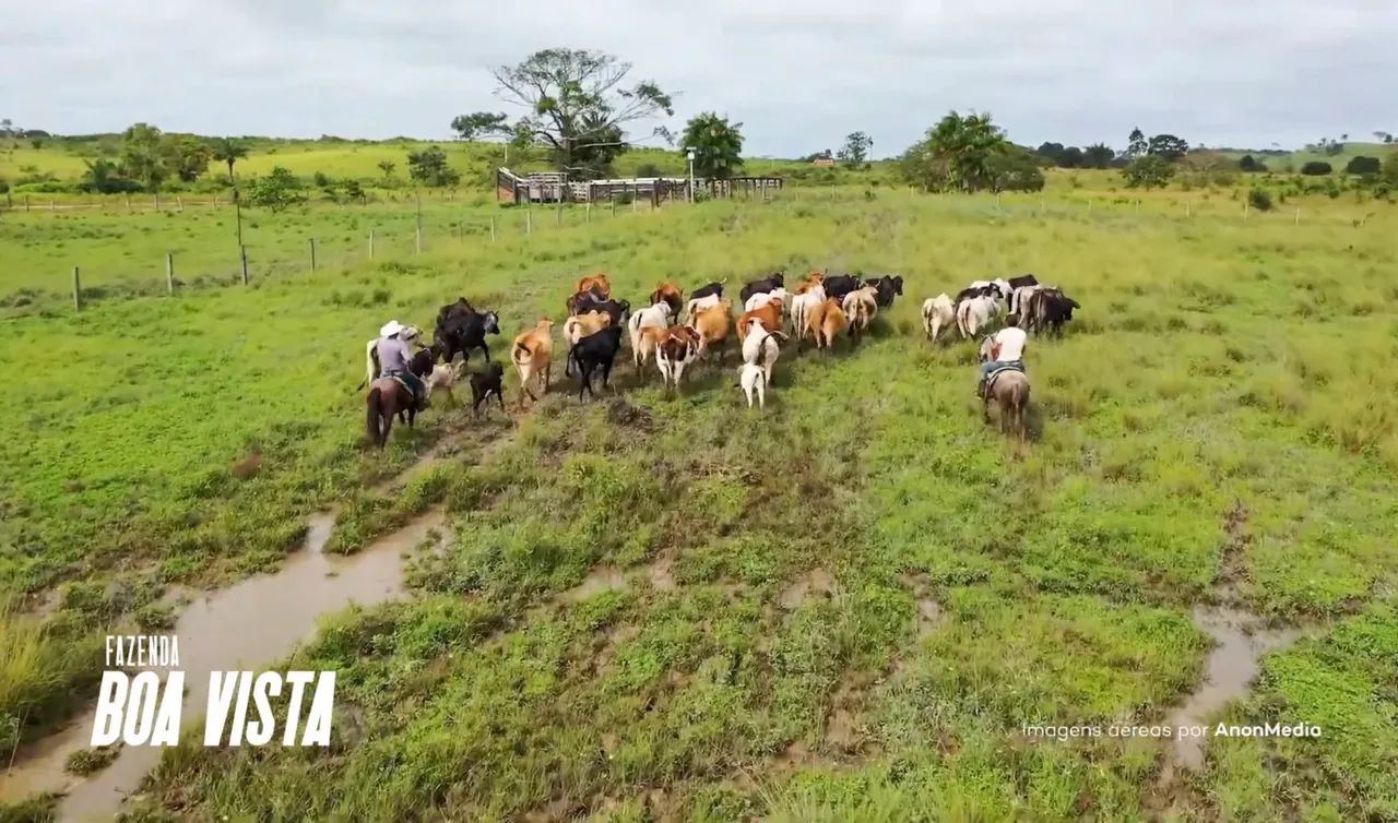 FAZENDA À VENDA - 44 ALQUEIRES - NOVA IPIXUNA