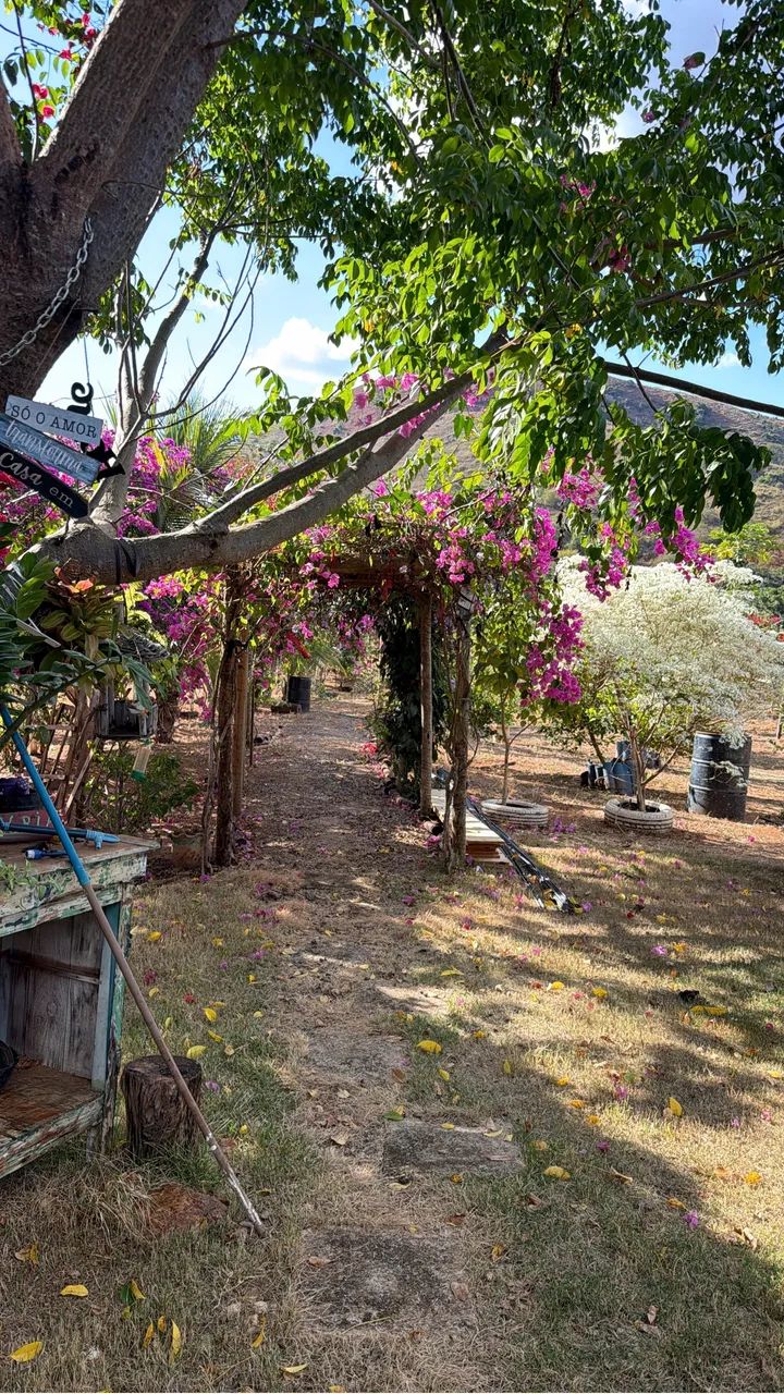 VENDO CHÁCARA  - Foto 4