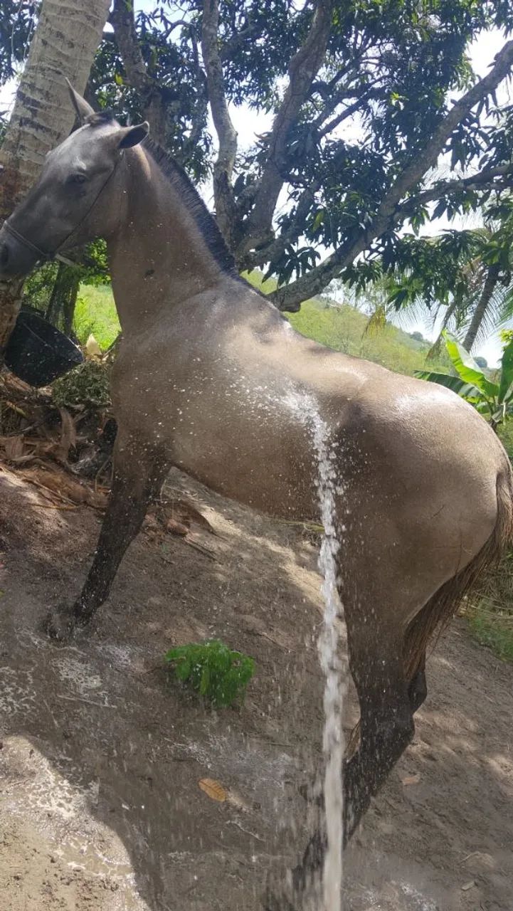 Porda pra meche  - Foto 2