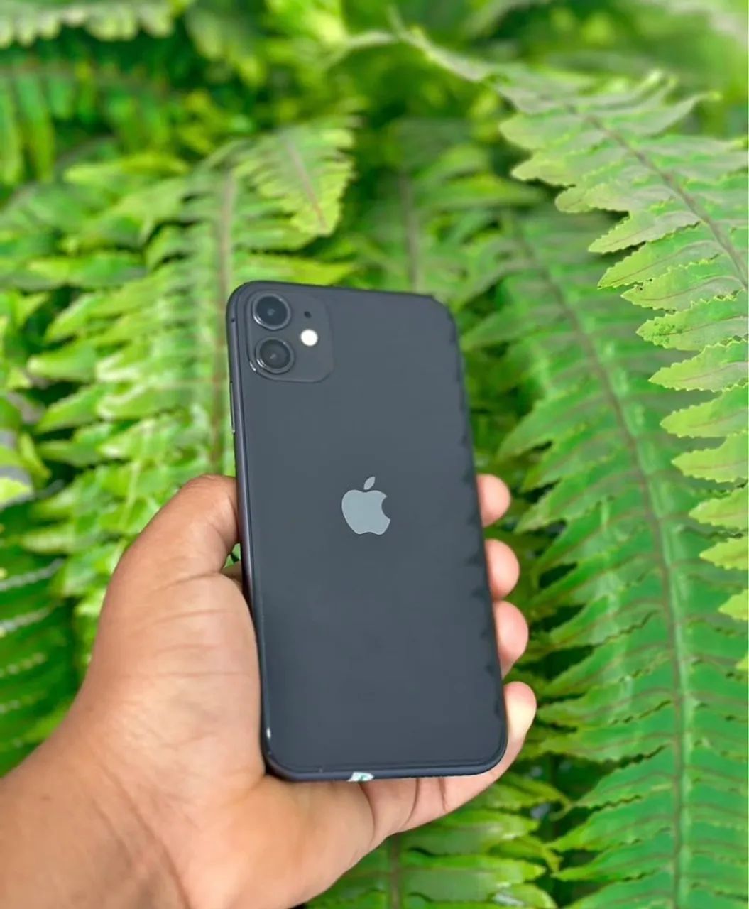 iPhone 11