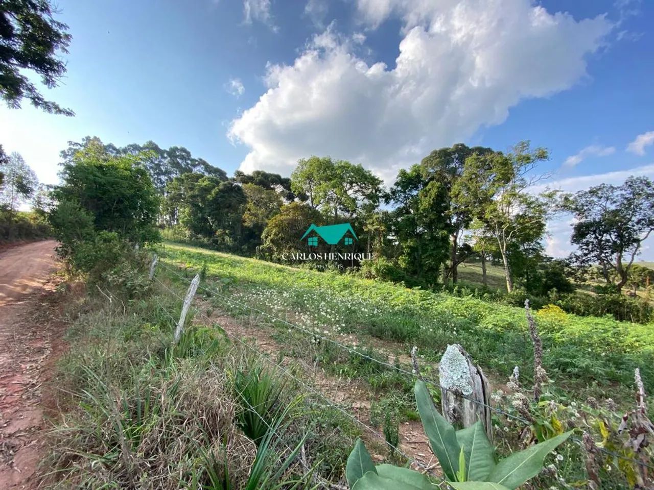terreno de 7400m2 - Foto 4
