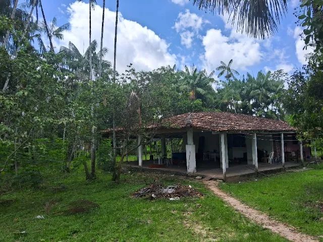 VENDO SÍTIO EM MARITUBA 290 MIL 