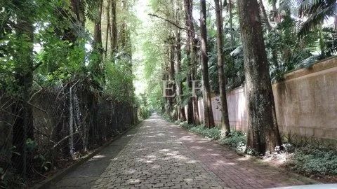 Rua Junqueira - Chacara Flora - Foto 3