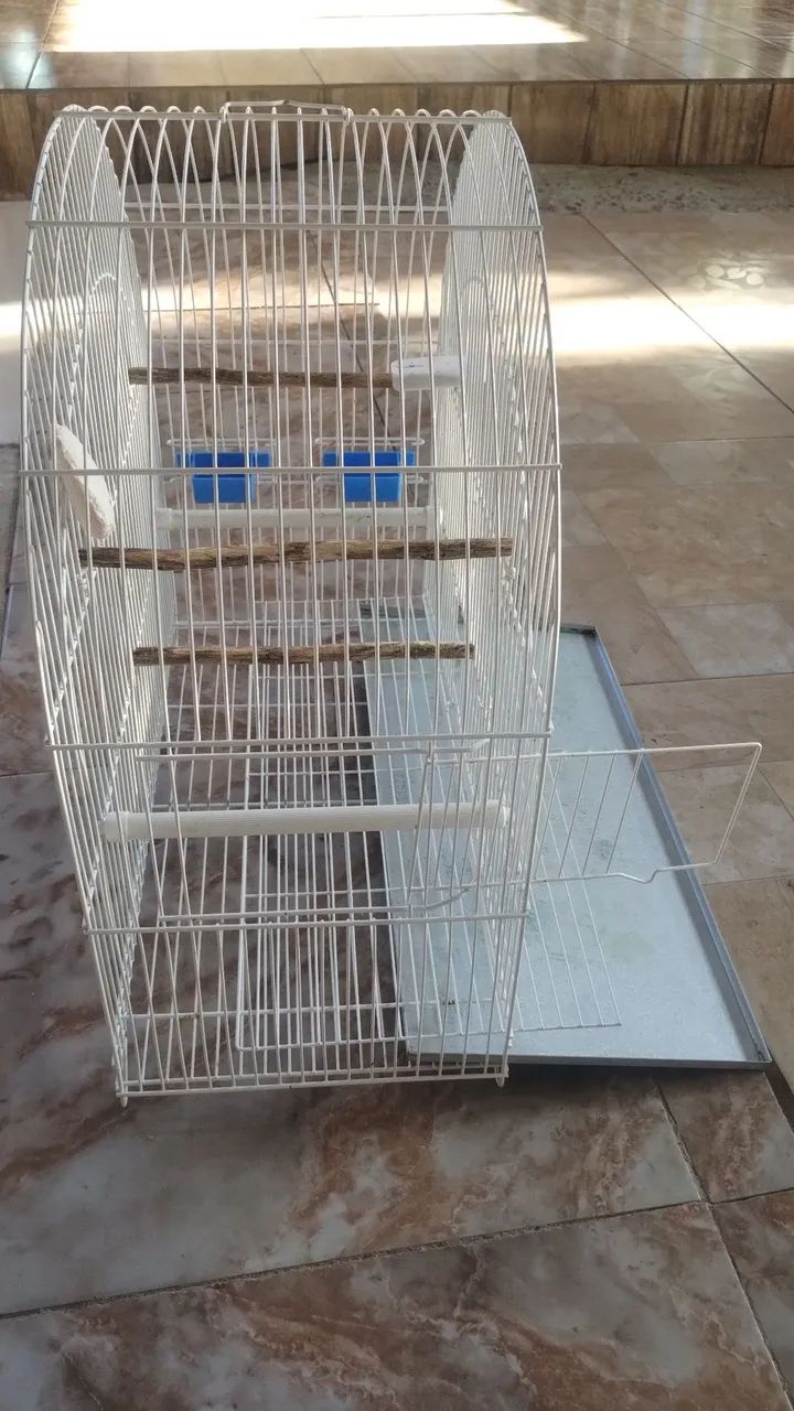 Gaiola aramil  - Foto 4
