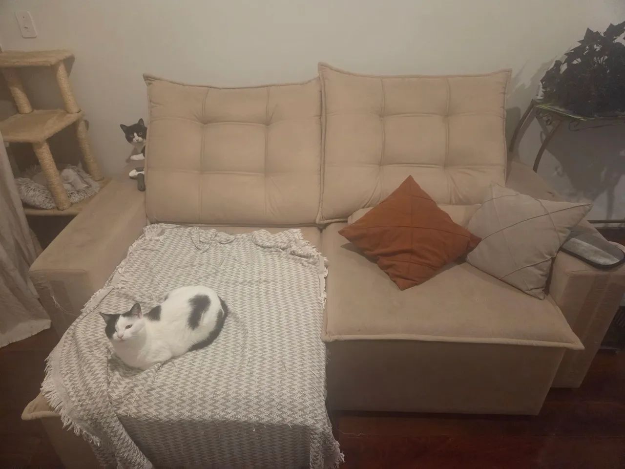 Sofá retrátil  - Foto 2