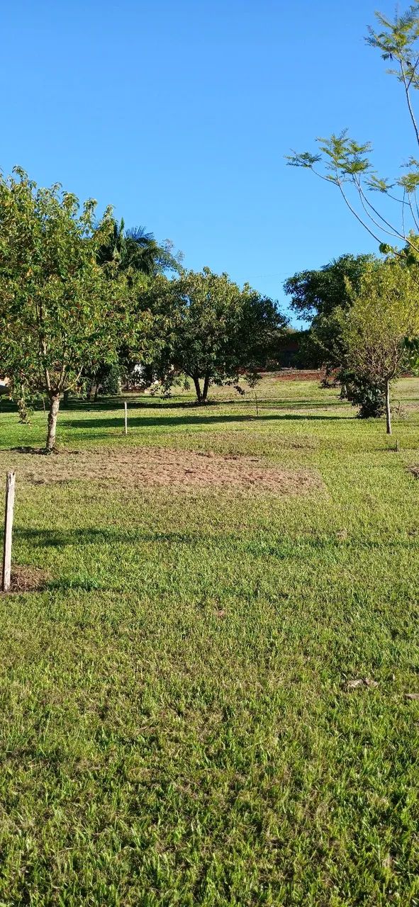 Lote alagado  - Foto 4