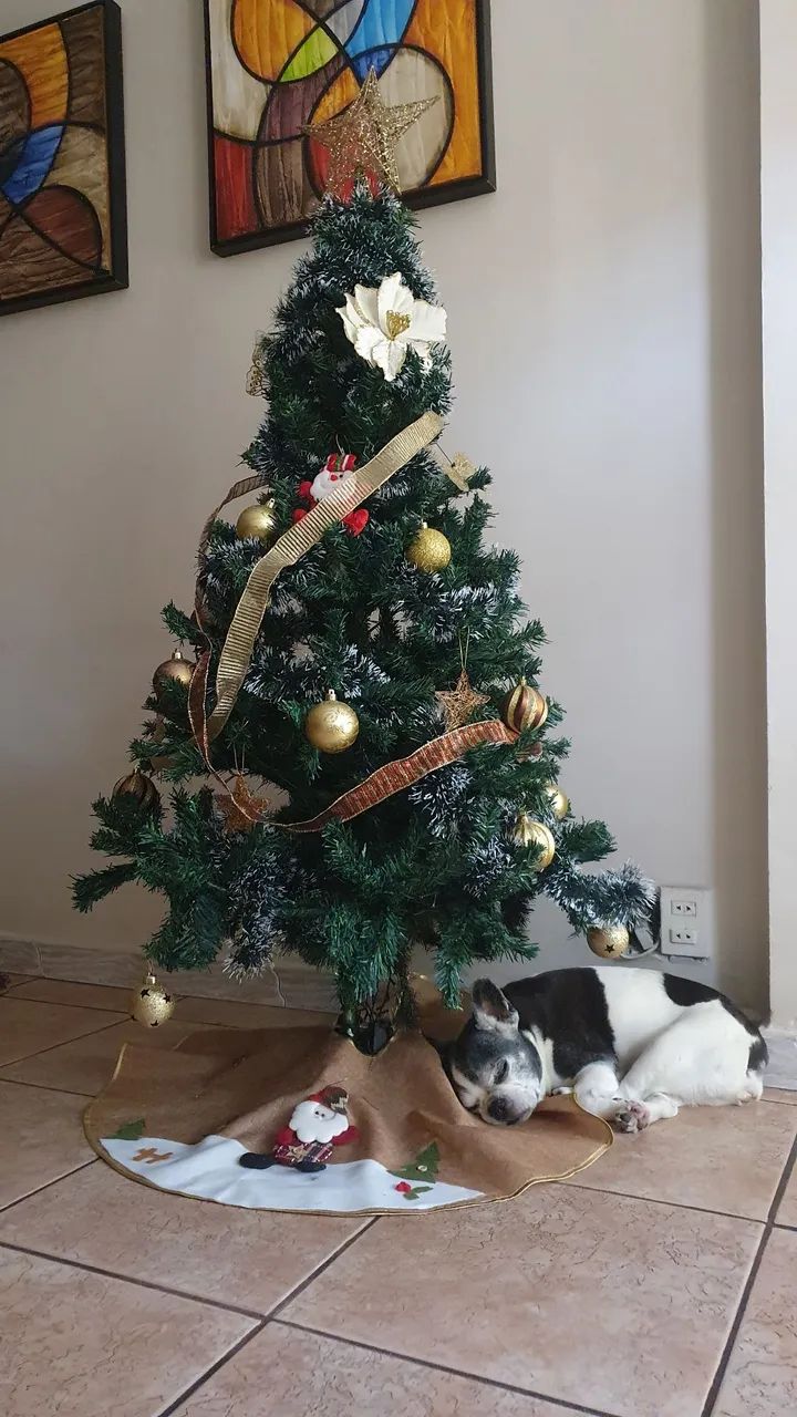 Árvore de Natal completa de 1.80m - Foto 2