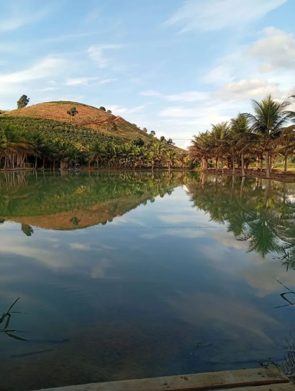 Vendo 5 alqueires norte do espírito santo 