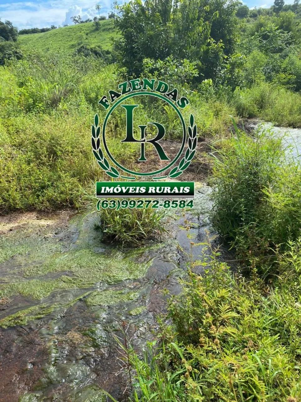 Chácara 89 Hectares   Entre  Palmas e Aparecida - Foto 3