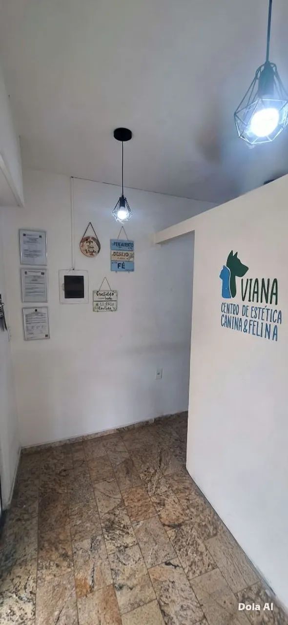 Passo ponto  de banho e tosa  - Foto 3
