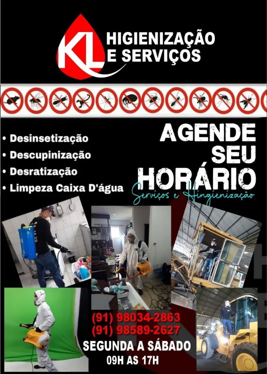 DEDETIZAÇÃO KL DEDETIZAÇÃO 