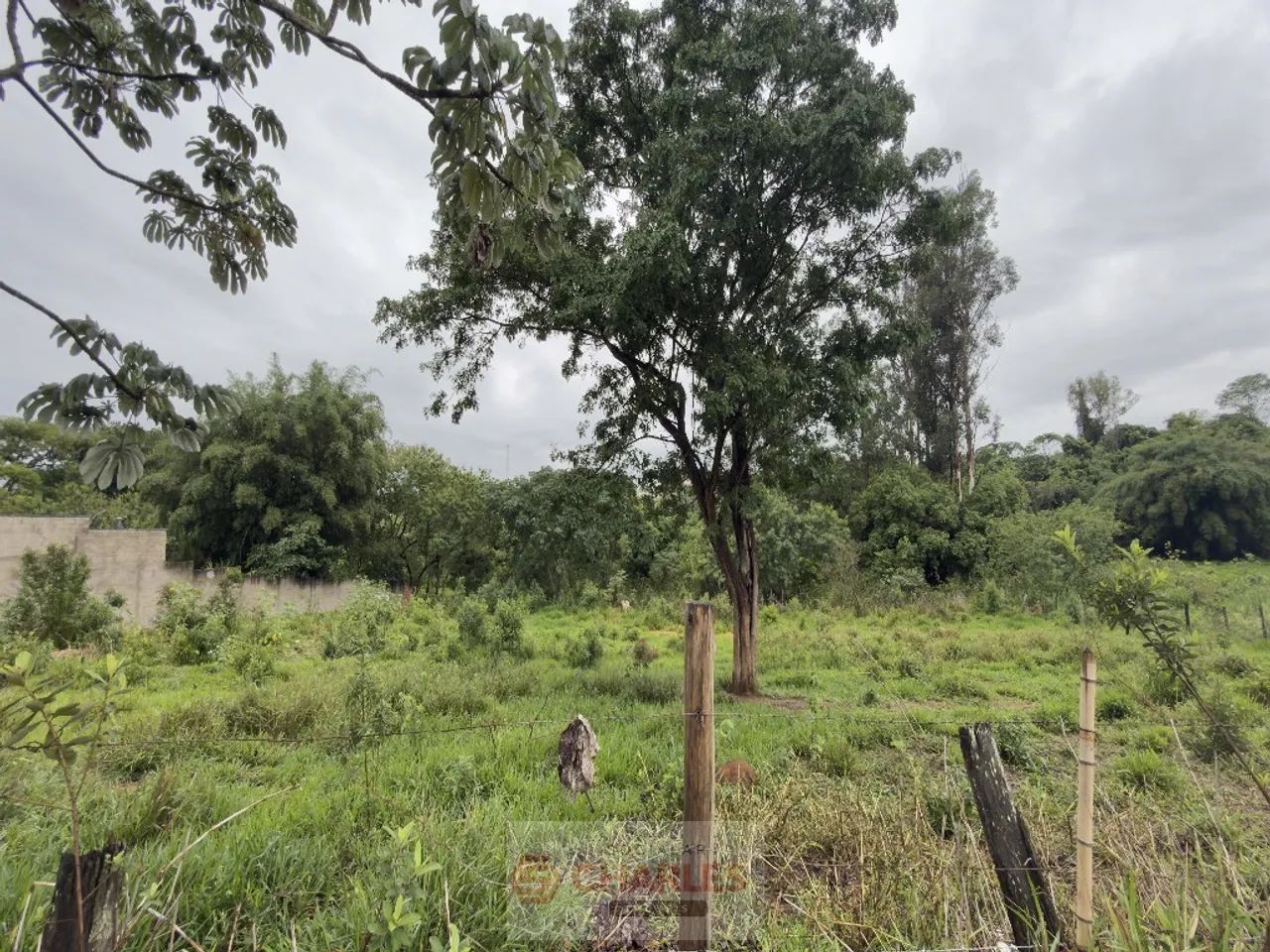 Área Acima De 500m2 Para Venda PIRES ITAPIRA - Foto 3