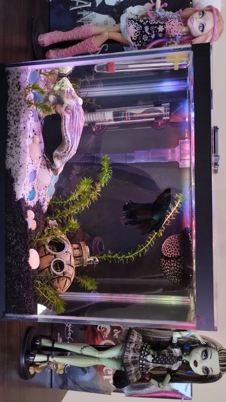 AQUÁRIO DE 10L SEMINOVO - Foto 2