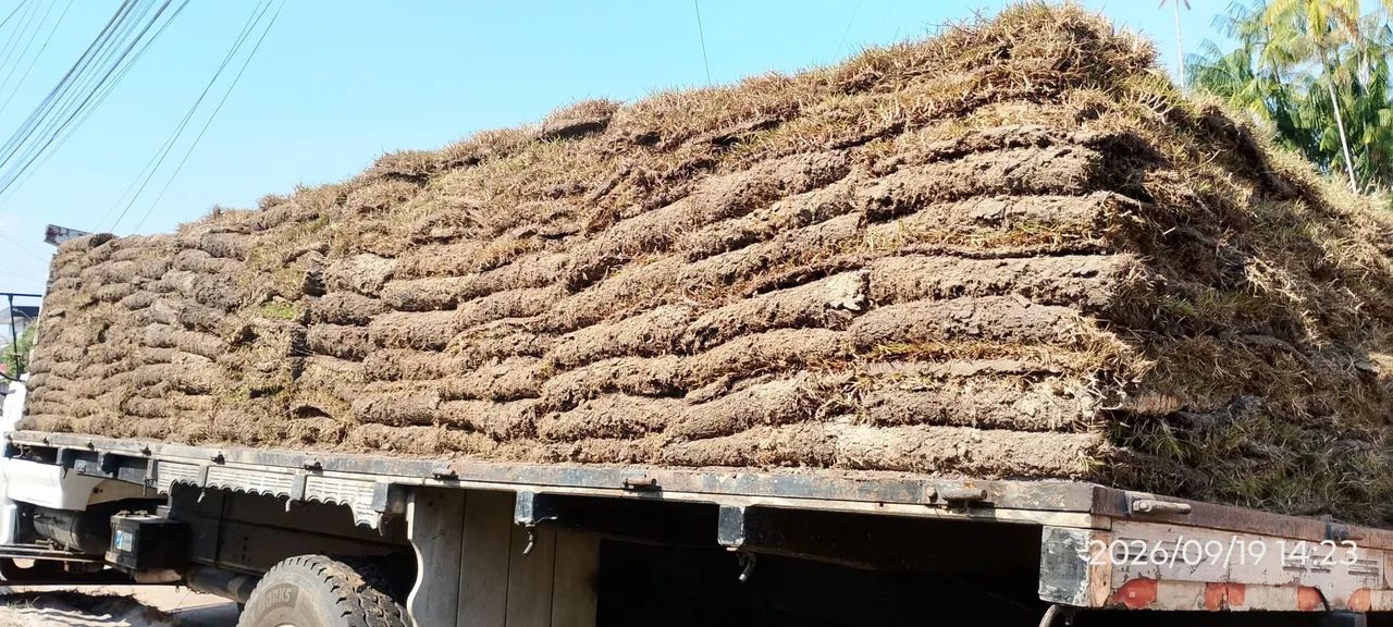 Terreno 10x60 em Itacoatiara - escriturado  - Foto 4