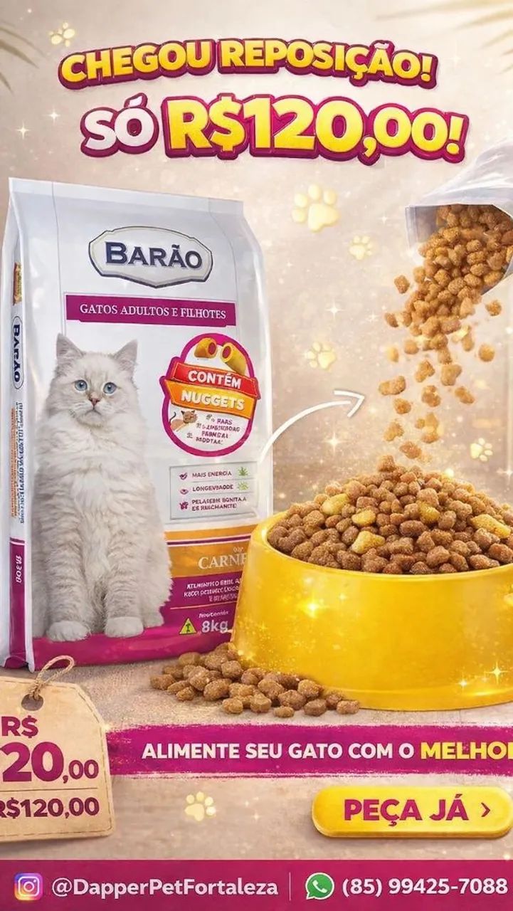 Ração barão mix gato 10kg 