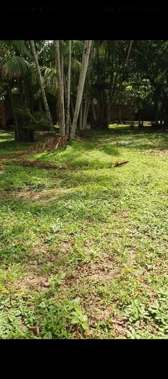 Vendo pequeno sítio na águas lindas  - Foto 2