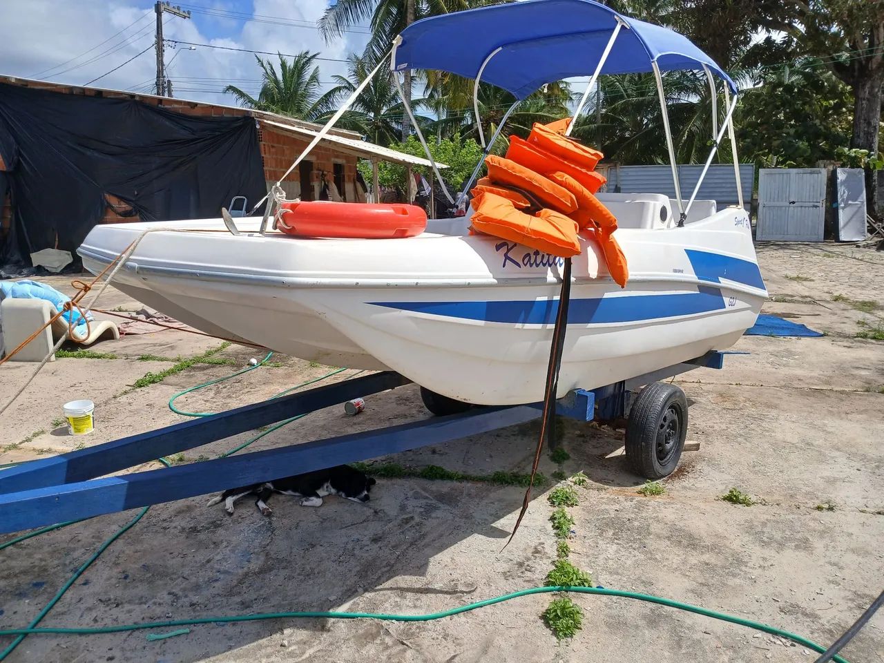 Sport fish sem motor  - Foto 4