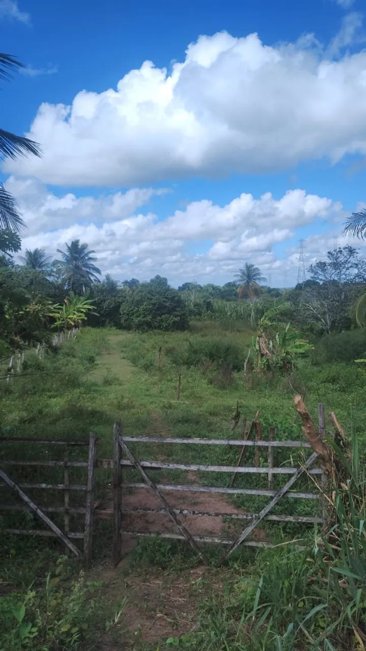 Área, Misto, TRIGUEIRO - 92.800m² - Foto 2