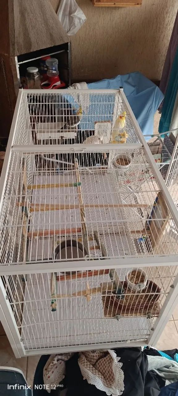 viveiro grande - Foto 3