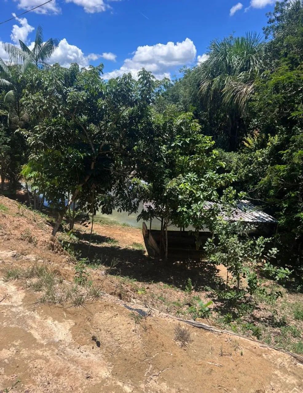 Sítio no ramal do paricatuba - Foto 4