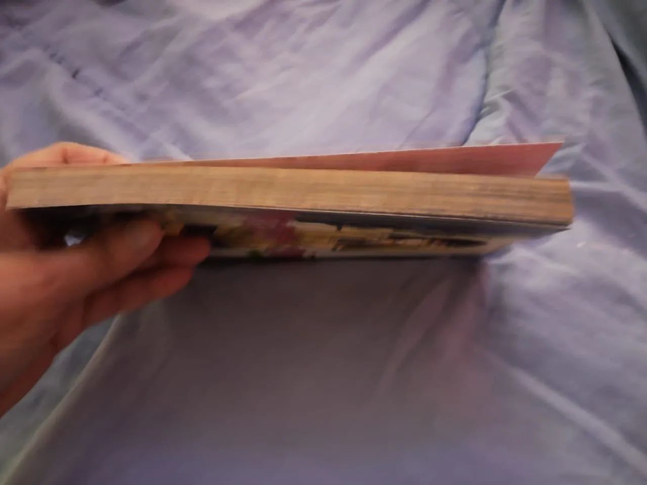 Mangá - Foto 2