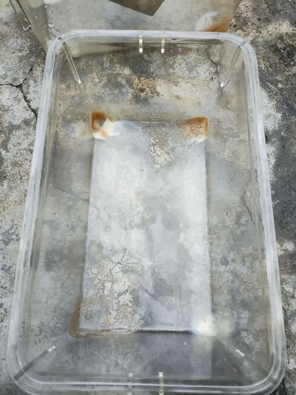 Caixa de biotério para criação de camundongos 65580493592321123