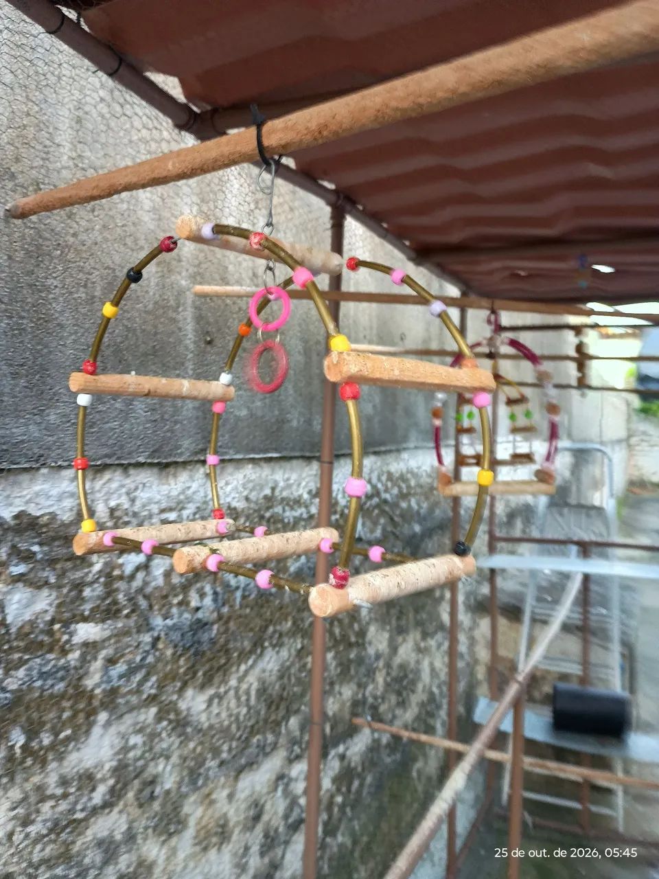 Viveiro  - Foto 5