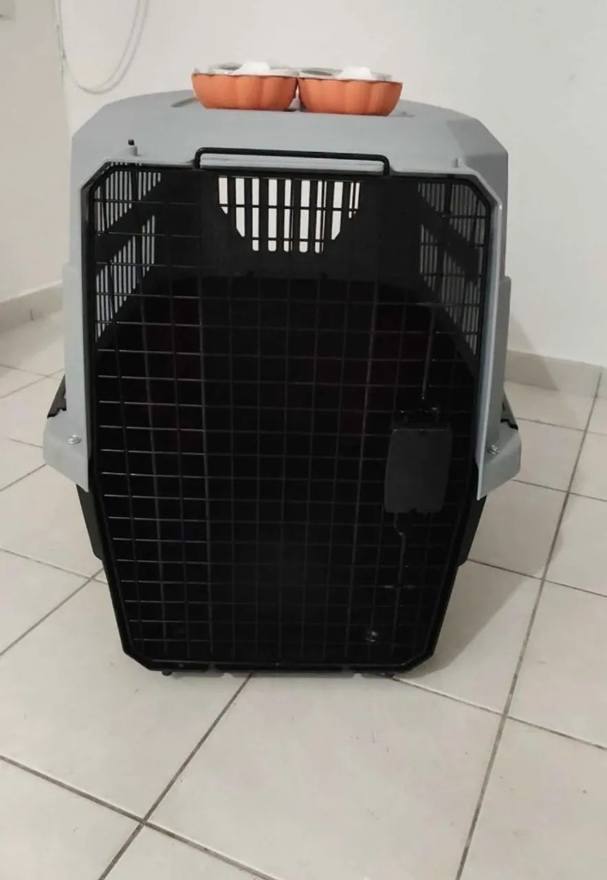 CAIXA TRANSPORTADORA DE PET EXG - Foto 4