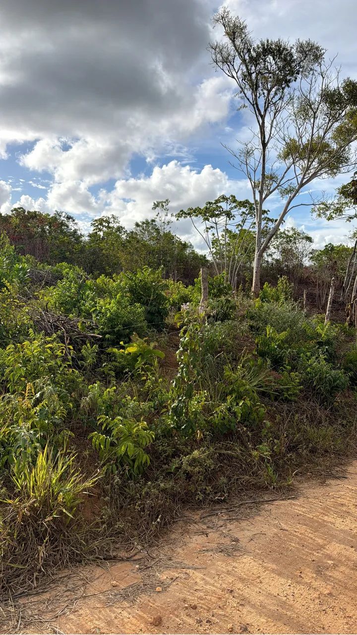 Vende -se lotes 7 x 21,5 - Foto 5