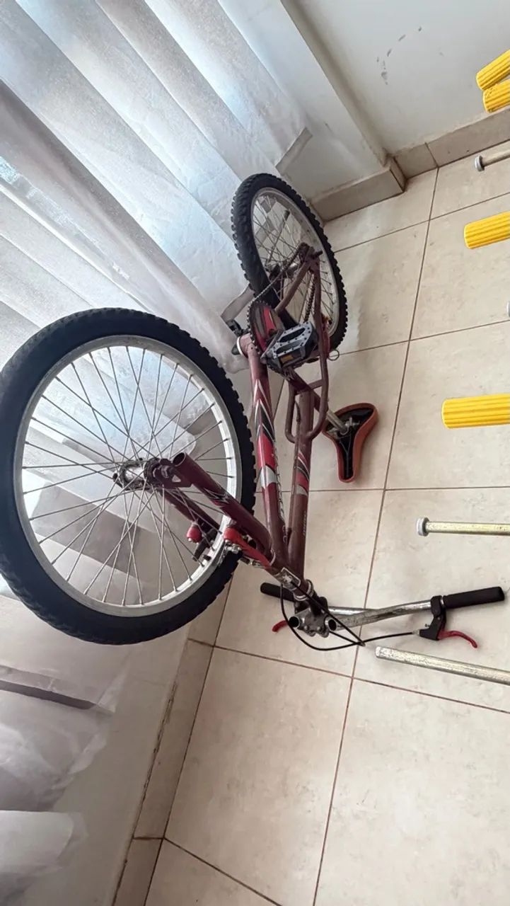 Bicicleta 