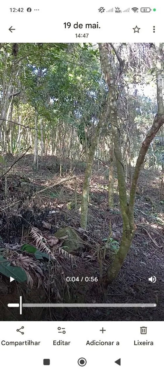 Foto - Nova Friburgo - São Pedro da Serra