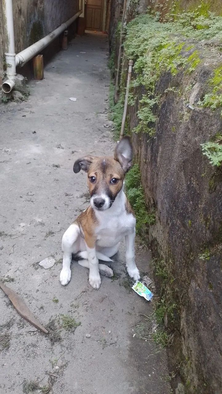 Doação 
