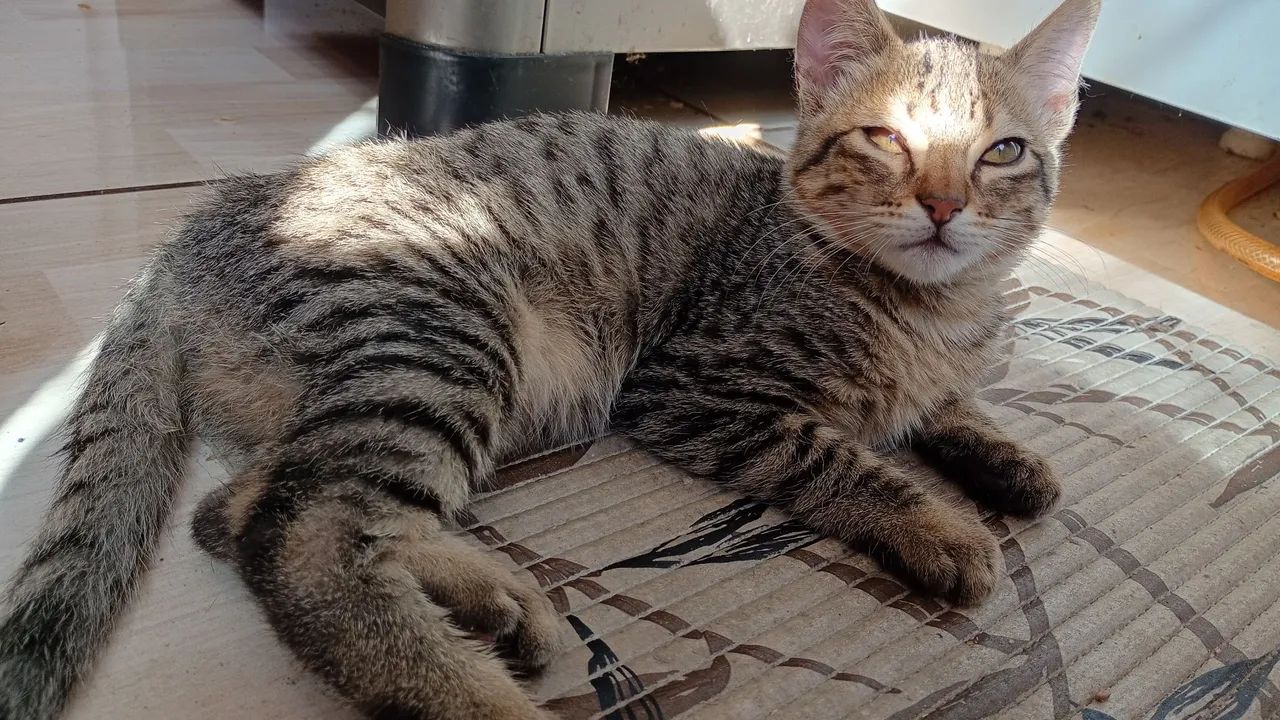 Doação .... - Foto 4