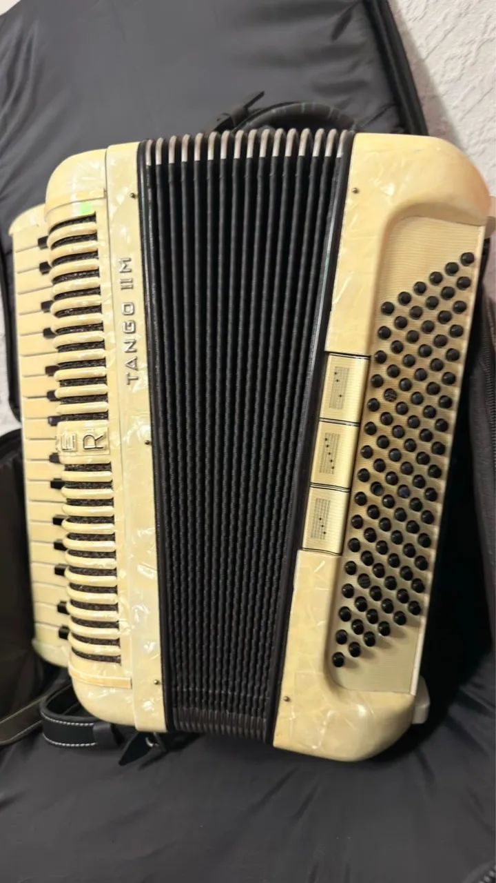 Acordeon ( sanfona) honner 96 baixos 