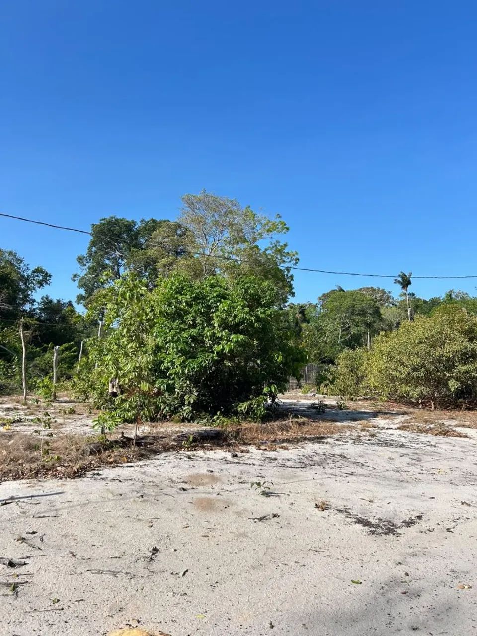 Sitio na Ponta de Pedra  - Foto 3