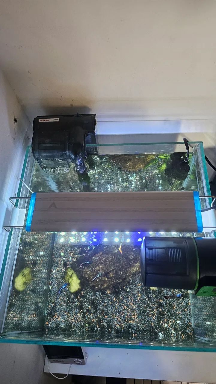 Aquário Cubo Completo 42 Litros  - Foto 4