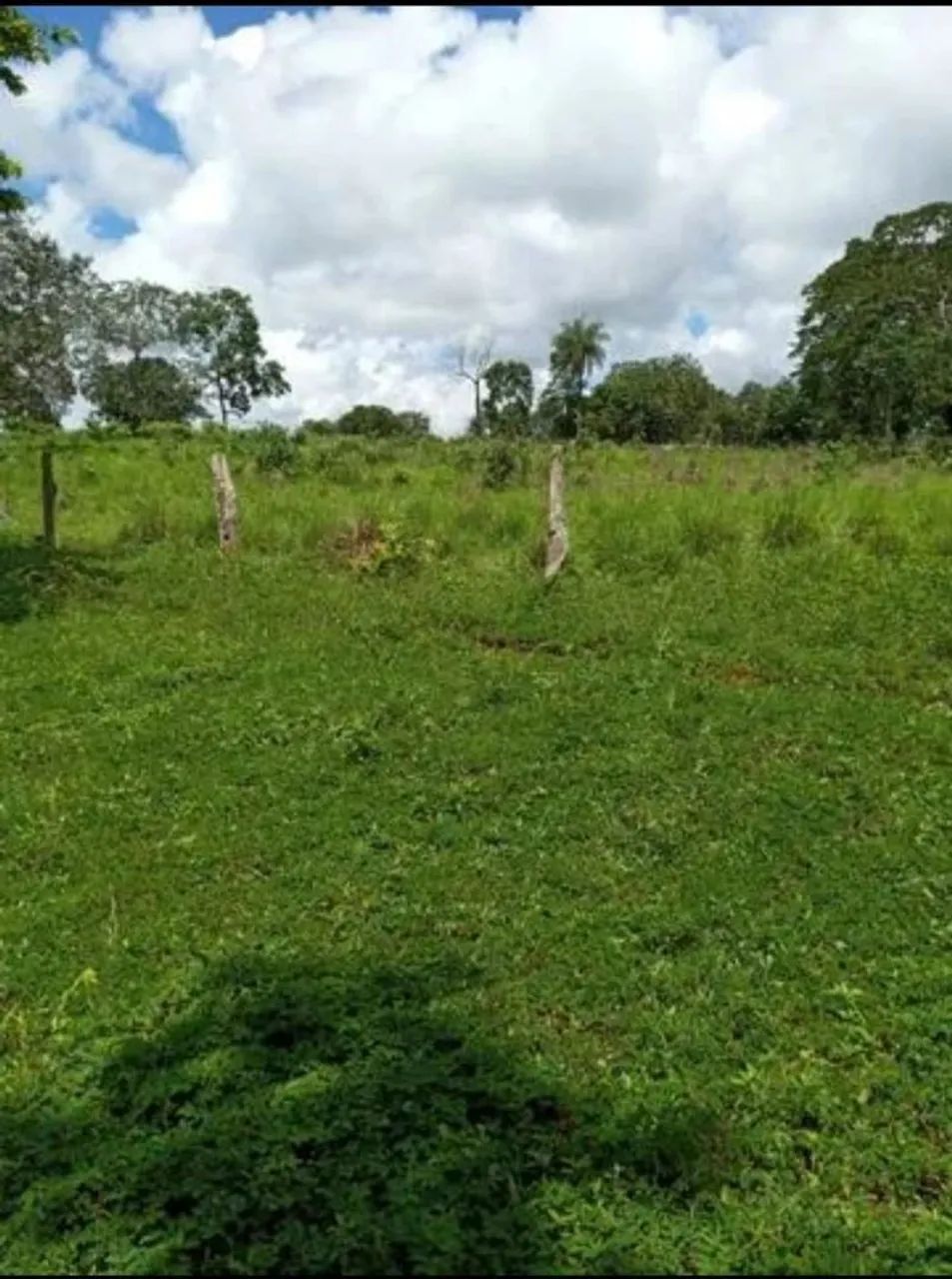 Fazenda a venda - Tocantins  - Foto 3