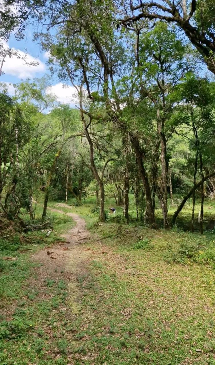 Trabalhamos com Roçadas e jardinagem - Foto 4