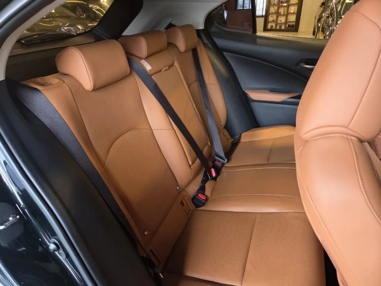 Lexus UX-250h Luxury 2.0 16V Aut.(hybrid), foto 18 de 20