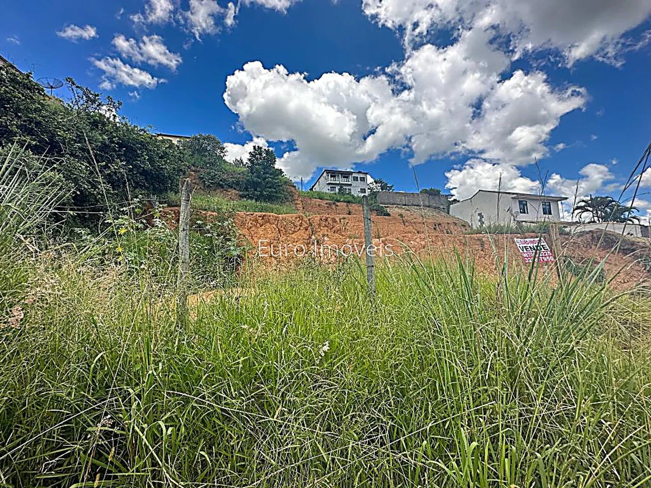 Lote / Terreno - Bom Pastor - Foto 4