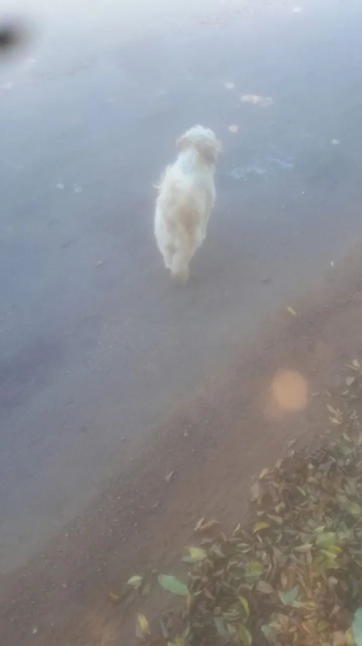 Lotes no bairro paraíso em mateus leme 