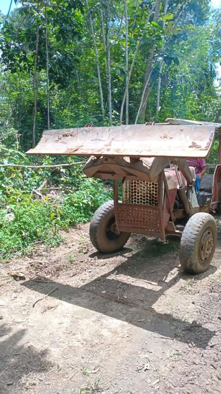 MASSEY FERGUSON 295 - Foto 3