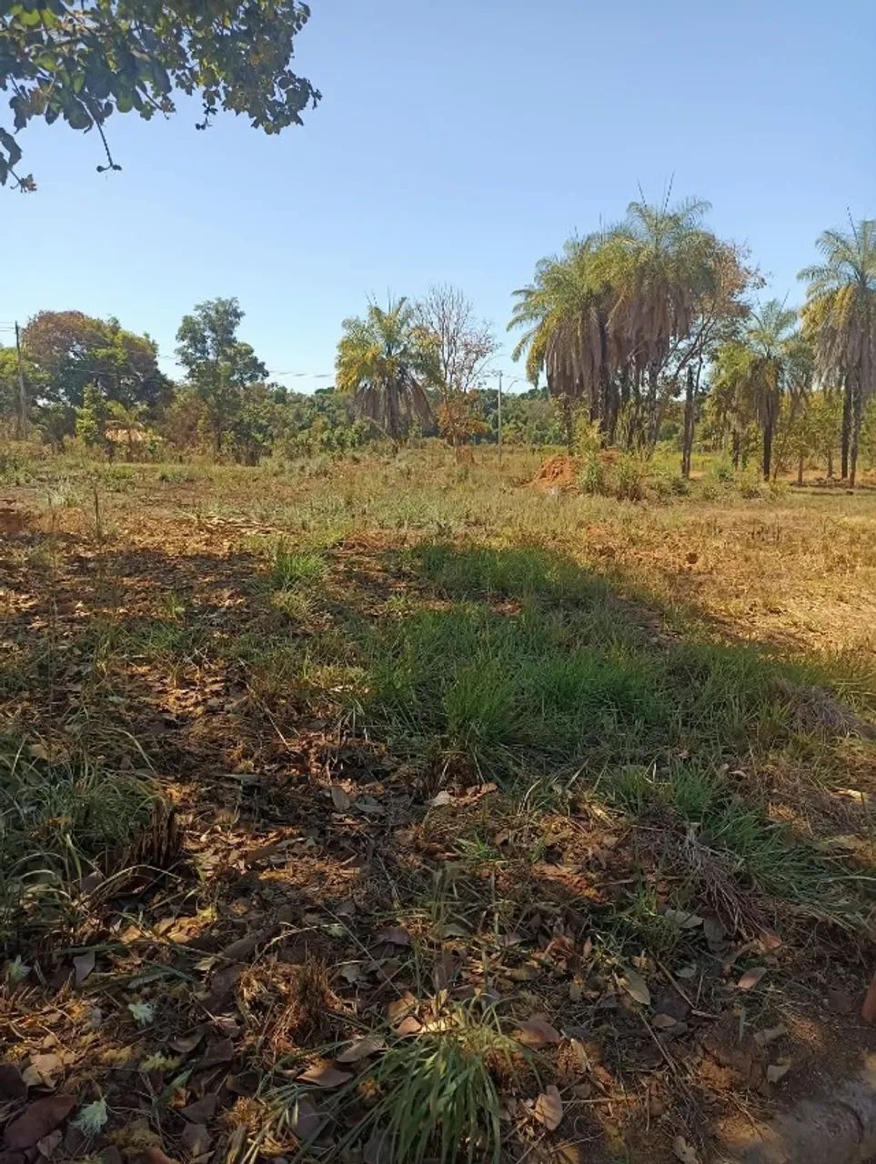 TERRENO QUITADO A VENDA JD MILLAO - LUZIMANGUES - Foto 3