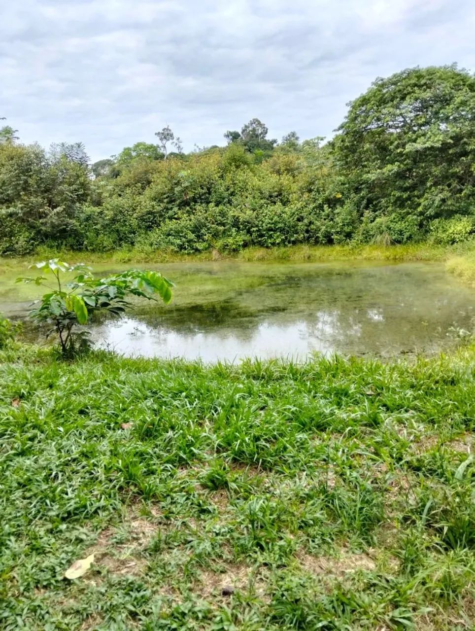 Sítio no Rio preto da Eva  - Foto 2