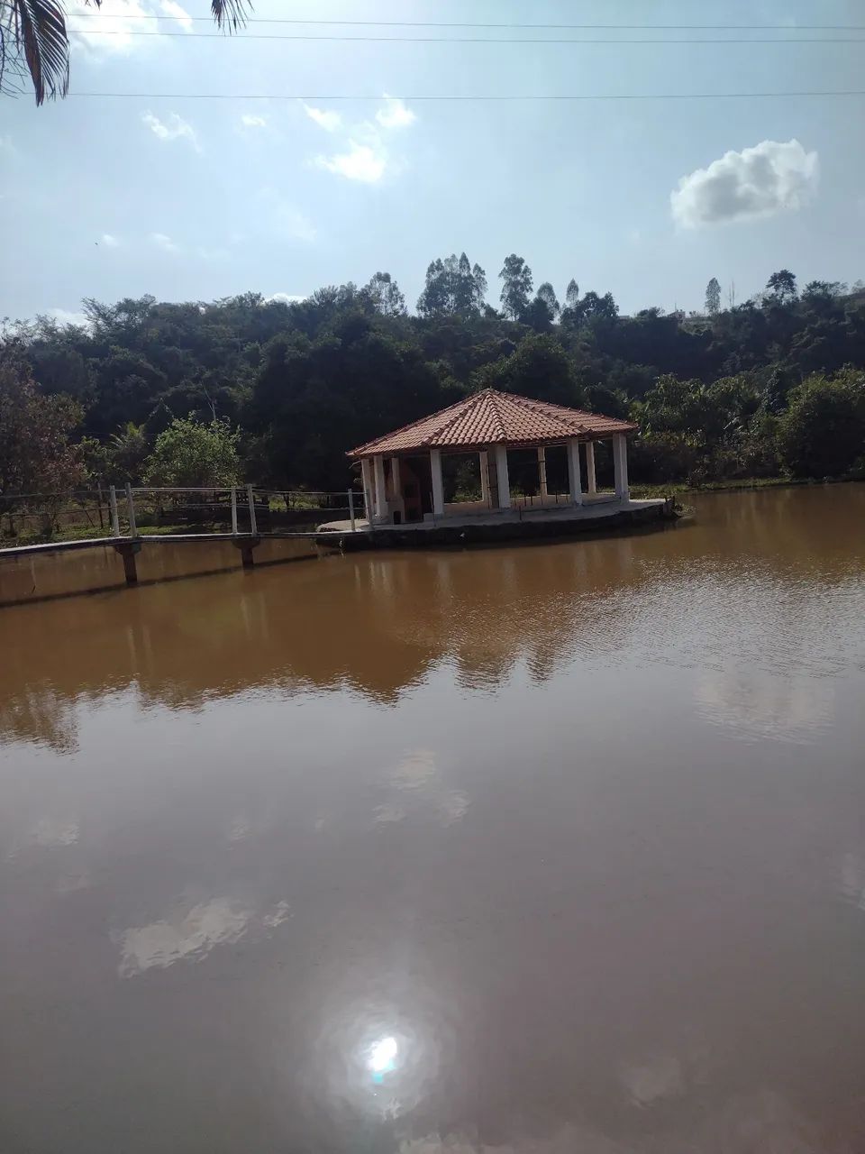 Vendo sítio na localidade da Fazendinha em Visconde do Rio Branco  - Foto 12
