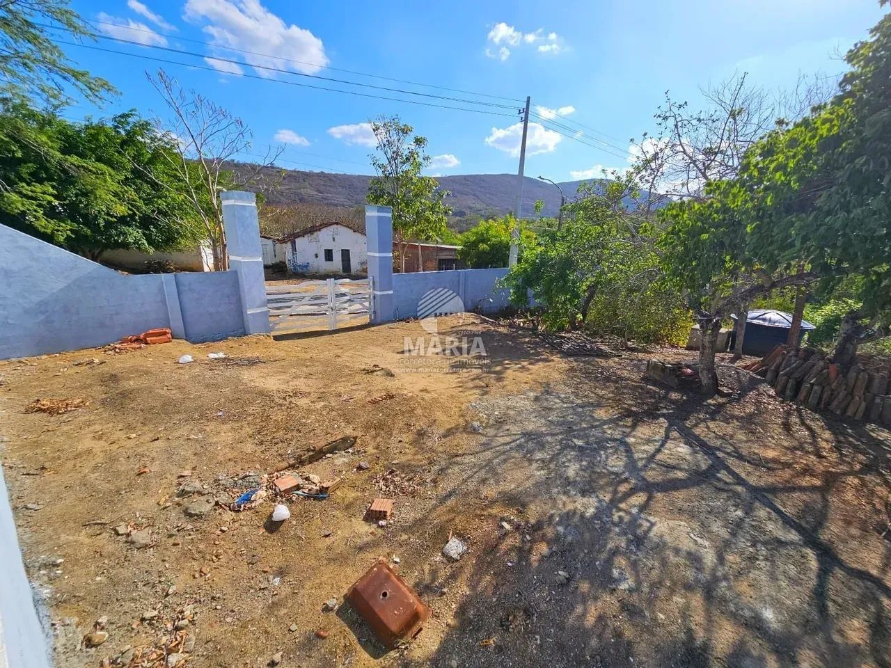 Sítio com 1 hectare à venda em Russinhas/PE! - Foto 4