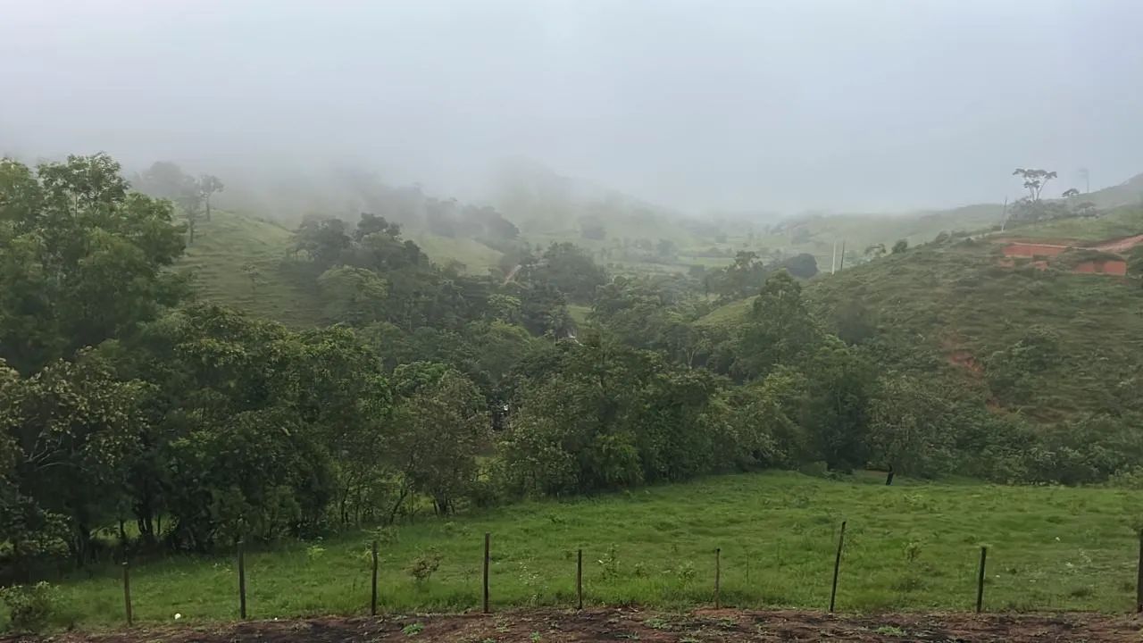 Foto - Serra - Mata da Serra