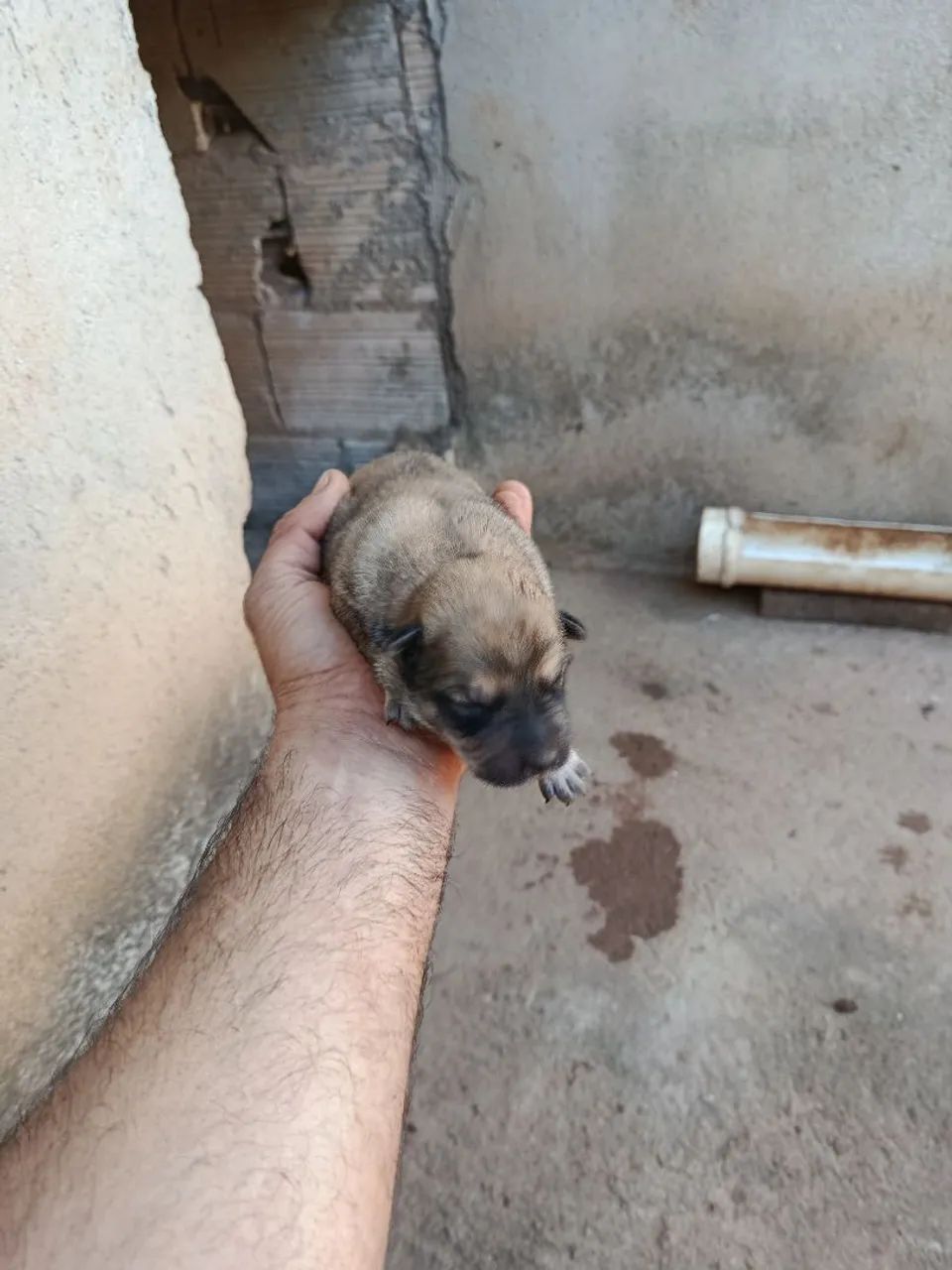 Vende se - Foto 5